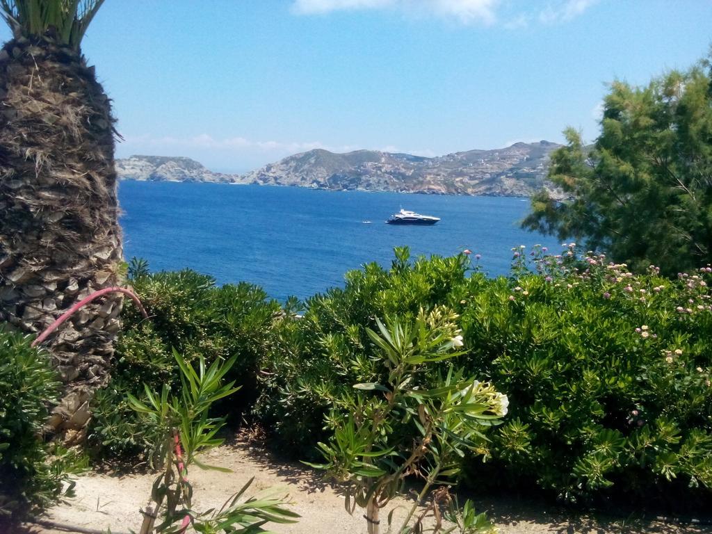 Mary'S Studios Agia Pelagia  Room photo